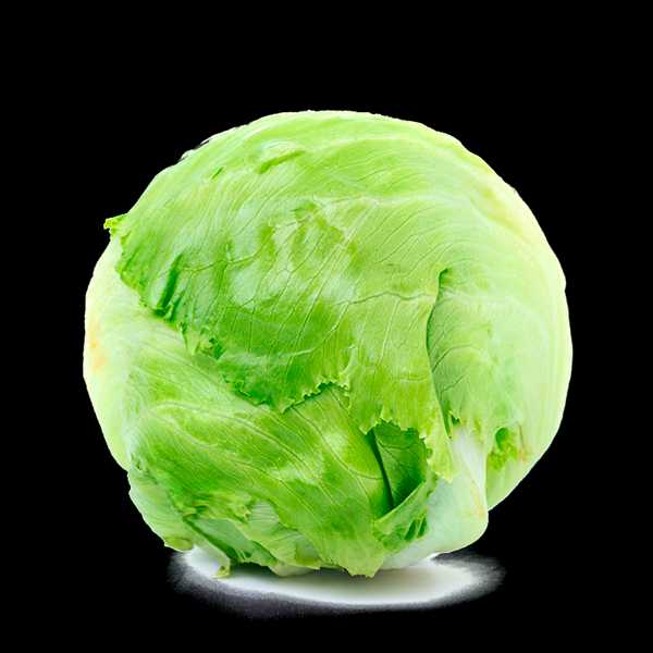 Lechuga Iceberg